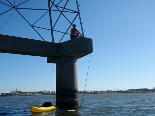 widesuccess1 widesuccess1