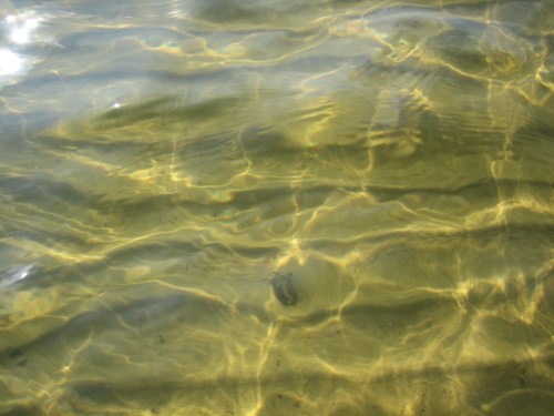clear-water