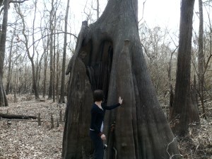 hugekneesbec hugekneesbec