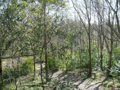 lmviewfromtop lmviewfromtop