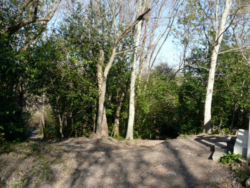 lookmtrailtop lookmtrailtop