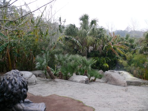 mhviewfromtop1 mhviewfromtop1