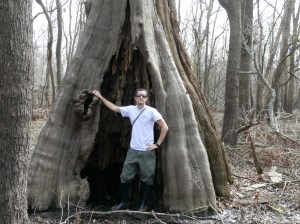 nothermehollow nothermehollow