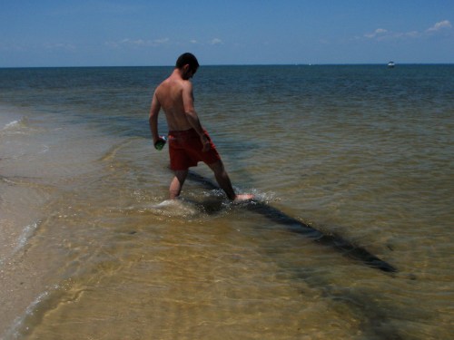 pearcekicks pearcekicks