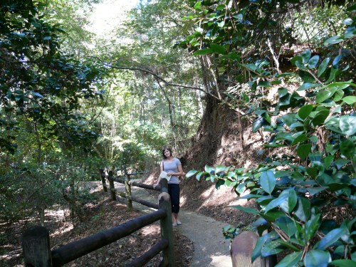 becselfguided becselfguided