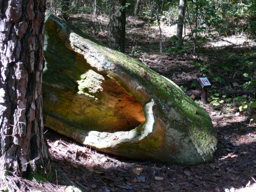 hugepetrified hugepetrified