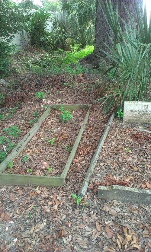 2013-07-14 13.04.27-2