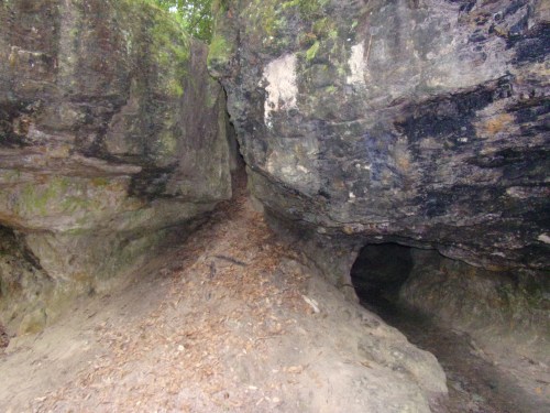 KODAK Digital Still Camera