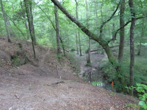 KODAK Digital Still Camera