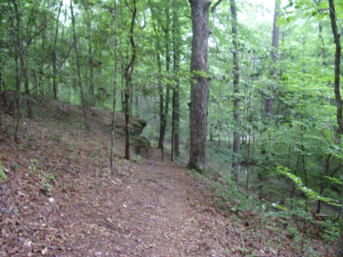 KODAK Digital Still Camera