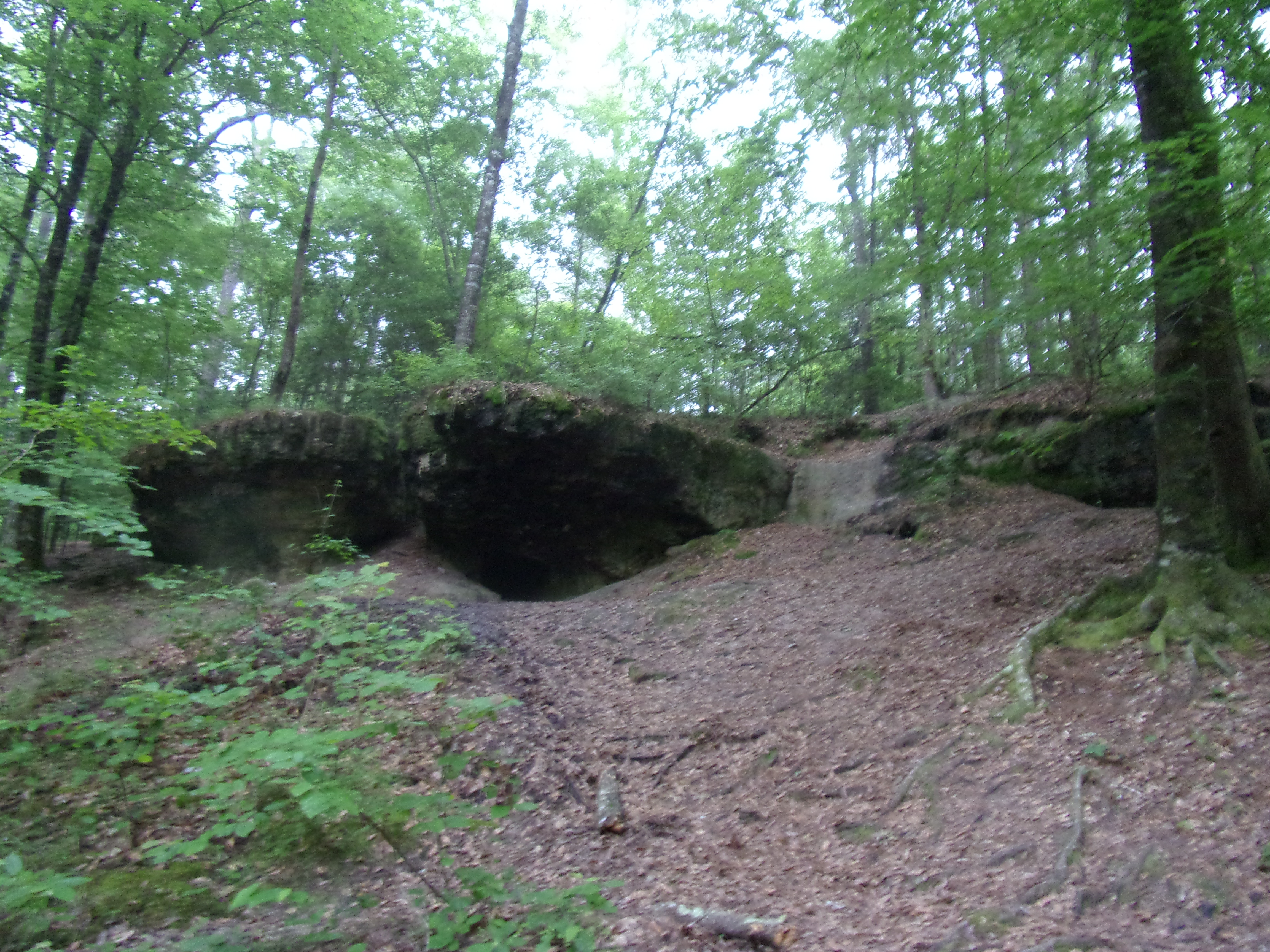 KODAK Digital Still Camera