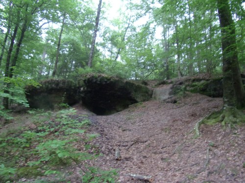 KODAK Digital Still Camera